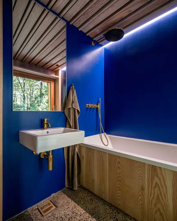 Benessere psicofisico e natura per rendere il lavoro una gioia: la Author’s House immersa nella foresta