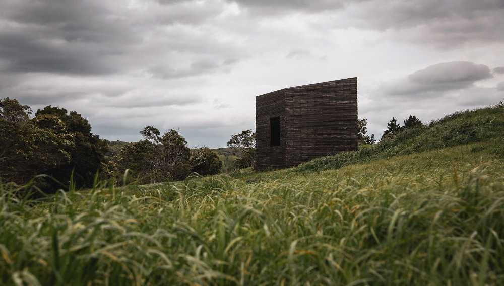 Eagle nests swaying on a sea of grass: a new vision for New Zealand's coastal future