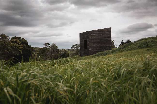 Eagle nests swaying on a sea of grass: a new vision for New Zealand's coastal future