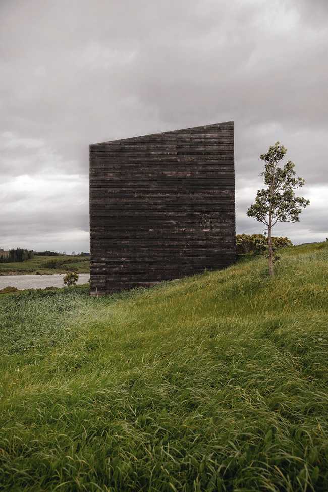 Eagle nests swaying on a sea of grass: a new vision for New Zealand's coastal future
