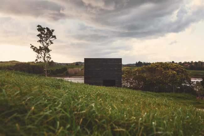 Eagle nests swaying on a sea of grass: a new vision for New Zealand's coastal future