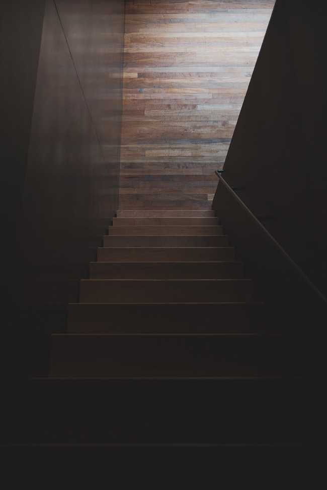 Eagle nests swaying on a sea of grass: a new vision for New Zealand's coastal future