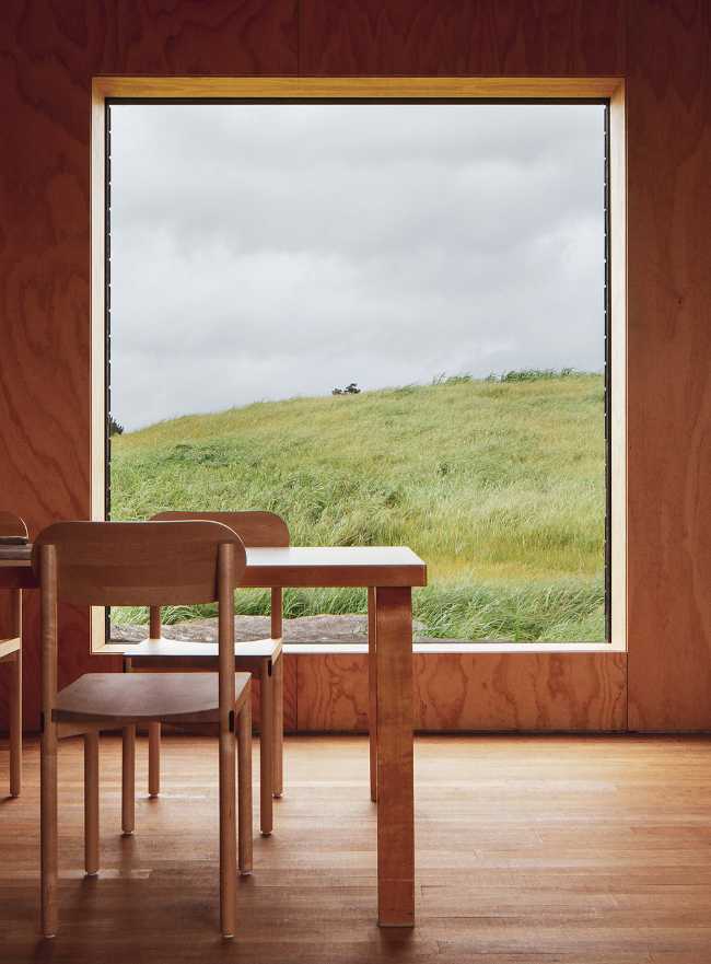 Eagle nests swaying on a sea of grass: a new vision for New Zealand's coastal future