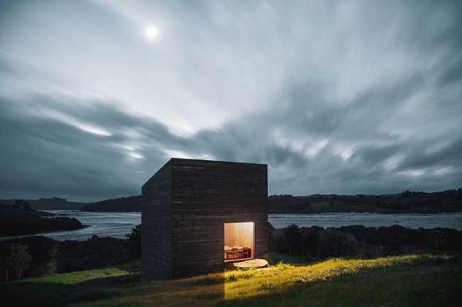 Eagle nests swaying on a sea of grass: a new vision for New Zealand's coastal future