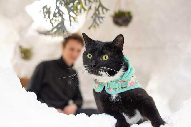 Final Foam Home: the power of erosion to shape architectural space