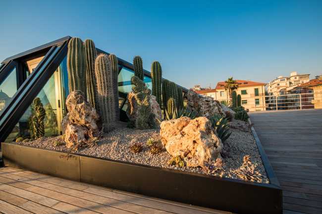 Càos. La celebración del producto se realiza en un espacio exclusivo