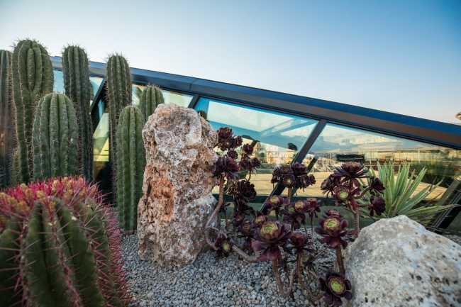 Càos. La celebración del producto se realiza en un espacio exclusivo