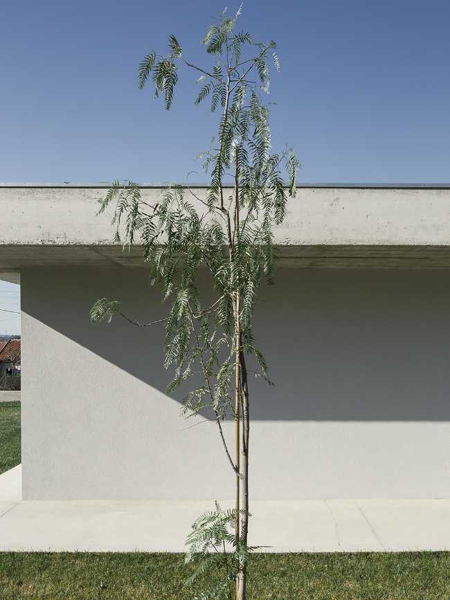 Gloma House, two organically shaped cement slabs define the architecture