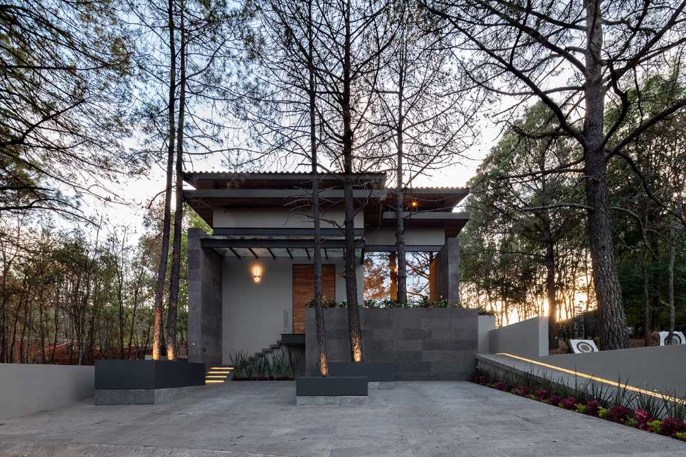 En Casa entre Pinos los espacios flexibles, la luz natural y la vegetación generan la arquitectura