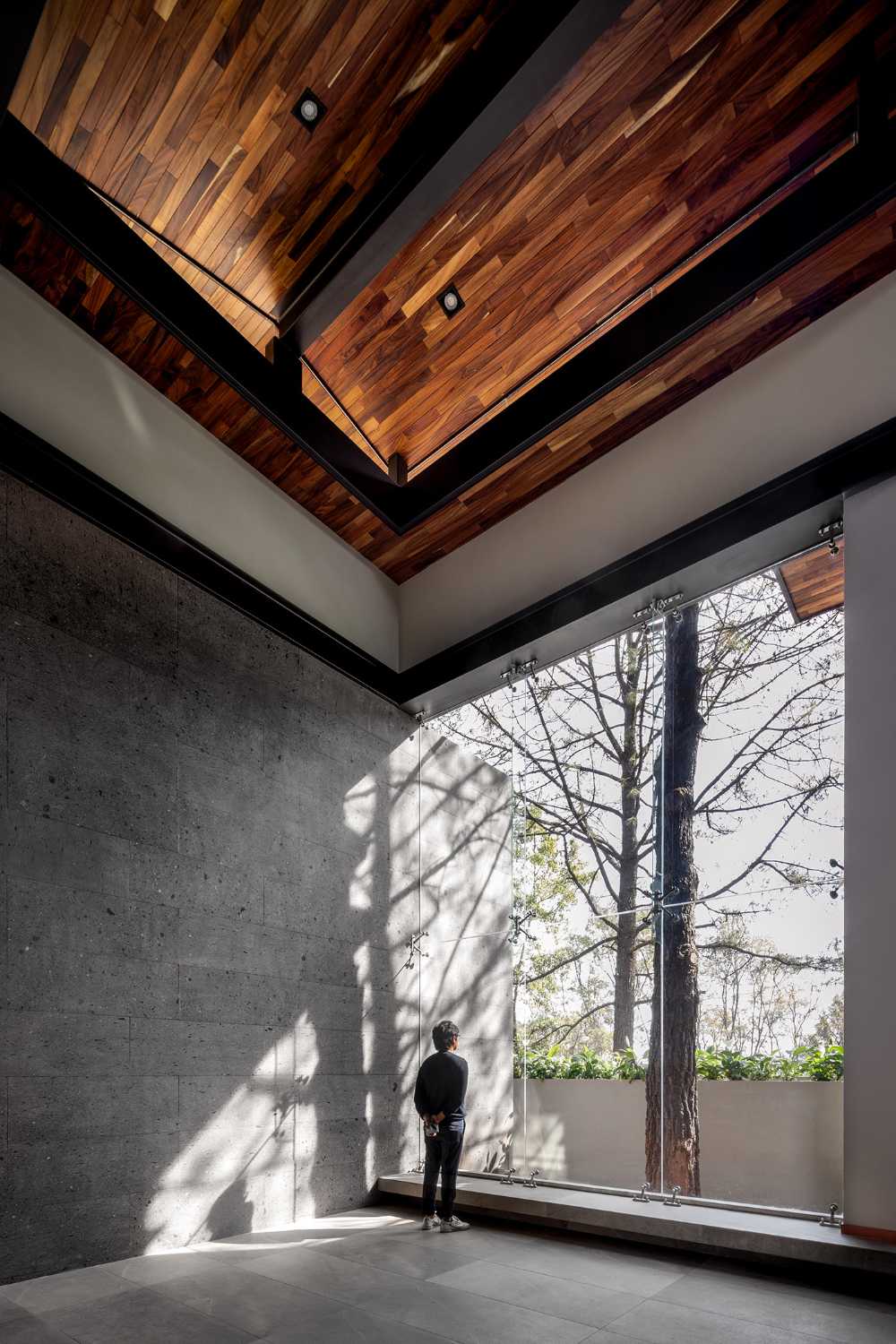 A Casa entre Pinos gli spazi flessibili, la luce naturale e la vegetazione generano l’architettura
