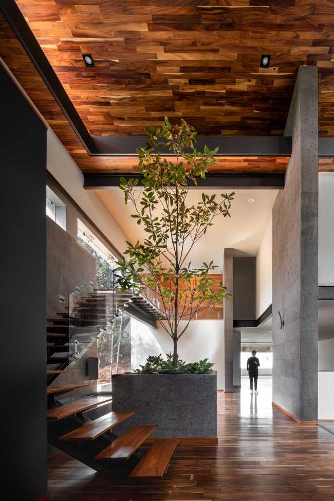 At Casa entre Pinos, flexible spaces, natural light and the vegetation define the architecture