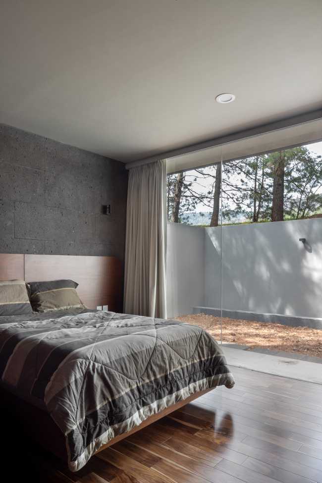 At Casa entre Pinos, flexible spaces, natural light and the vegetation define the architecture