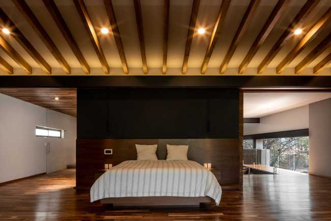 At Casa entre Pinos, flexible spaces, natural light and the vegetation define the architecture