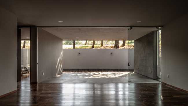 At Casa entre Pinos, flexible spaces, natural light and the vegetation define the architecture