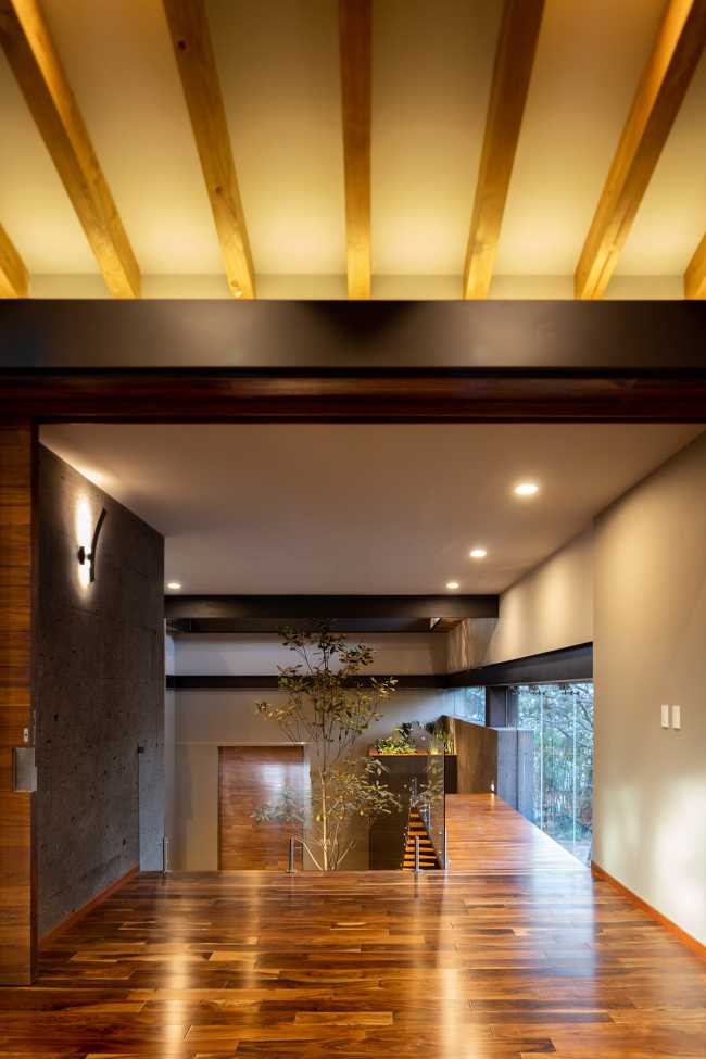 At Casa entre Pinos, flexible spaces, natural light and the vegetation define the architecture