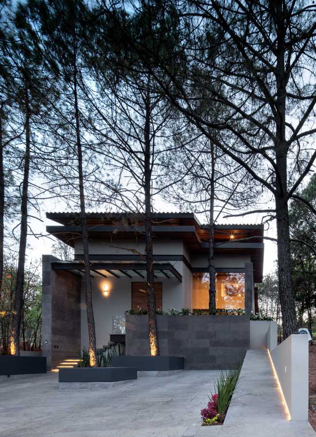 At Casa entre Pinos, flexible spaces, natural light and the vegetation define the architecture