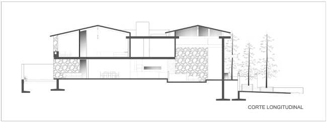 At Casa entre Pinos, flexible spaces, natural light and the vegetation define the architecture