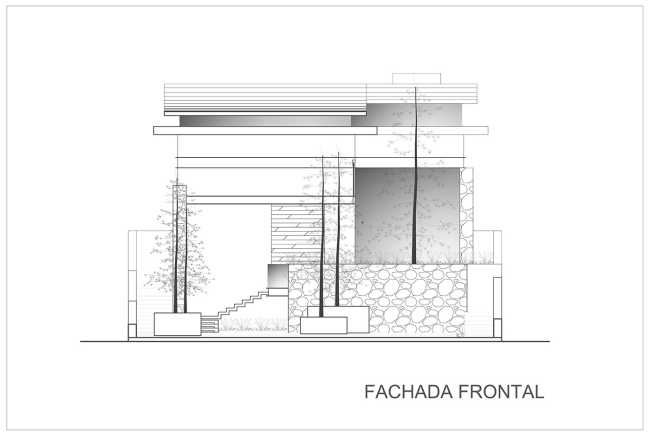 At Casa entre Pinos, flexible spaces, natural light and the vegetation define the architecture