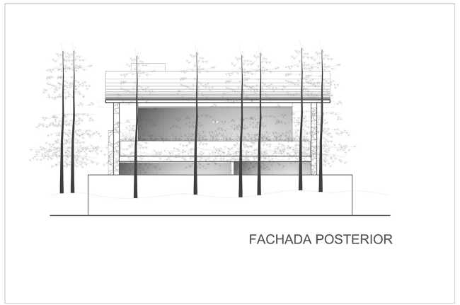 At Casa entre Pinos, flexible spaces, natural light and the vegetation define the architecture