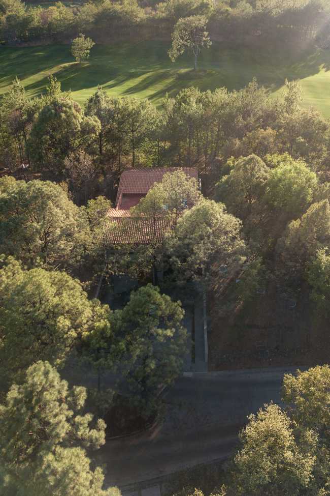 At Casa entre Pinos, flexible spaces, natural light and the vegetation define the architecture