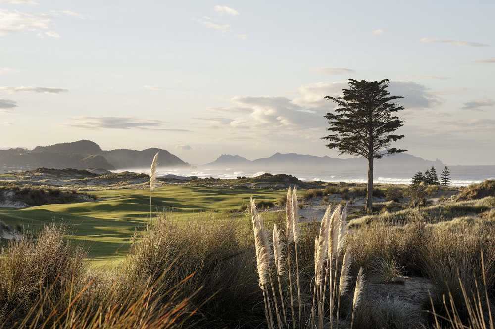 In Nuova Zelanda campi da golf, dune di sabbia e mare abbracciano l’architettura delicata della Tara Iti Clubhouse