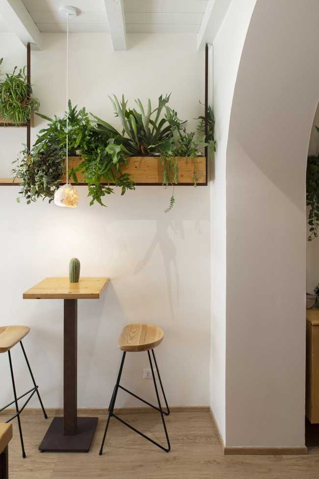 Design dalle linee sottili e una moodboard naturale per il Bloom 33 Botanic Bar di via Mazzini a Crema