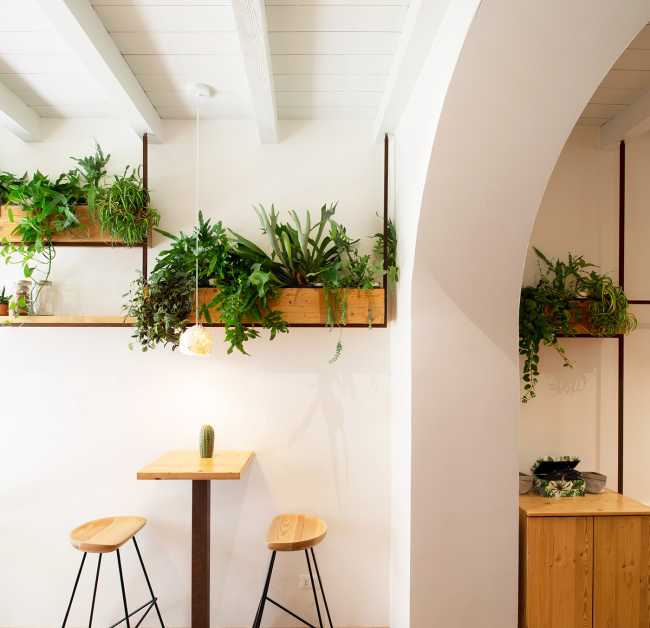 Design dalle linee sottili e una moodboard naturale per il Bloom 33 Botanic Bar di via Mazzini a Crema