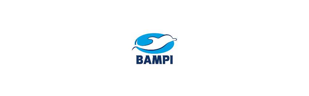 Copertina Bampi