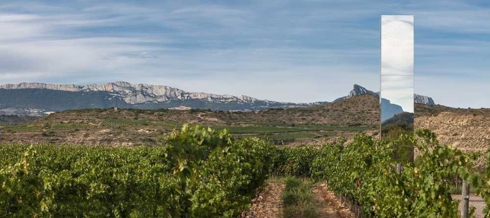 Installation éphémère dans les vignobles espagnols: l'essence du vin dans le design, LAN-4