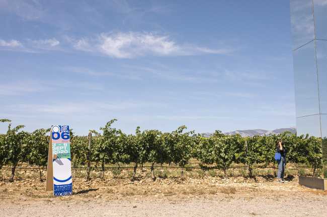 Ephemeral installation in the Spanish vineyards: the essence of wine in design, LAN- 4