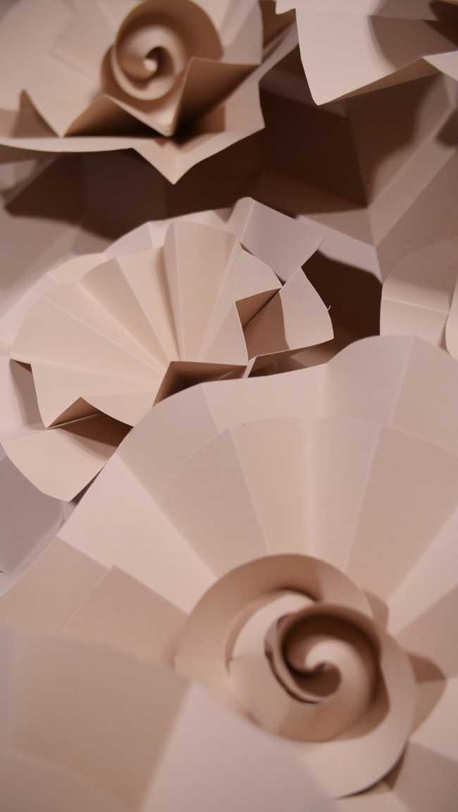 Coral. A paper artwork that pays homage to the marine life