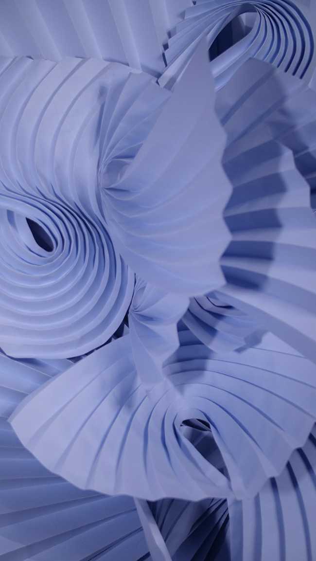 Coral. A paper artwork that pays homage to the marine life