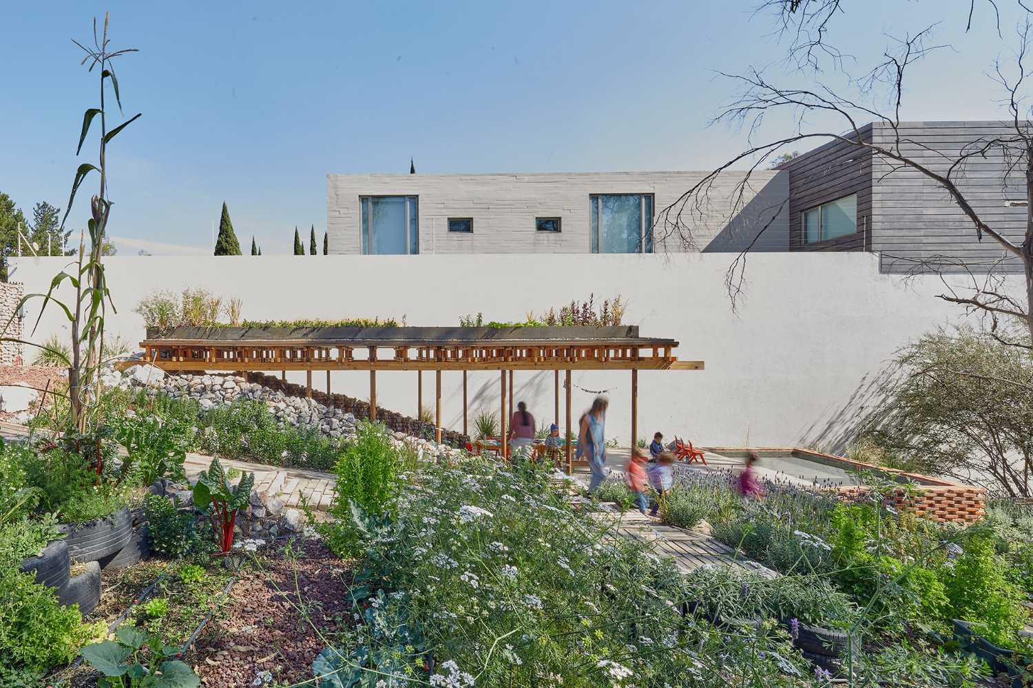 El Terreno. Un jardin urbain conçu comme un espace destiné à sensibiliser à la durabilité environnementale