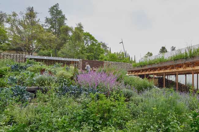 El Terreno. Un jardin urbain conçu comme un espace destiné à sensibiliser à la durabilité environnementale