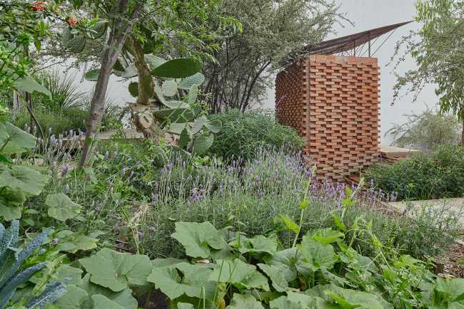 El Terreno. Un jardin urbain conçu comme un espace destiné à sensibiliser à la durabilité environnementale