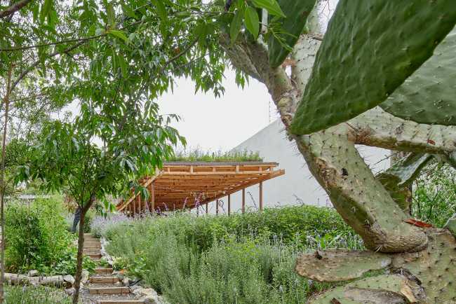El Terreno. Un jardin urbain conçu comme un espace destiné à sensibiliser à la durabilité environnementale