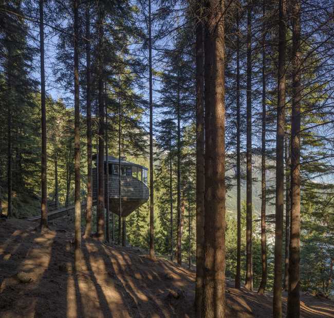 Woodnest, due case sull’albero che regalano l’esperienza di vivere la natura immergendosi in essa
