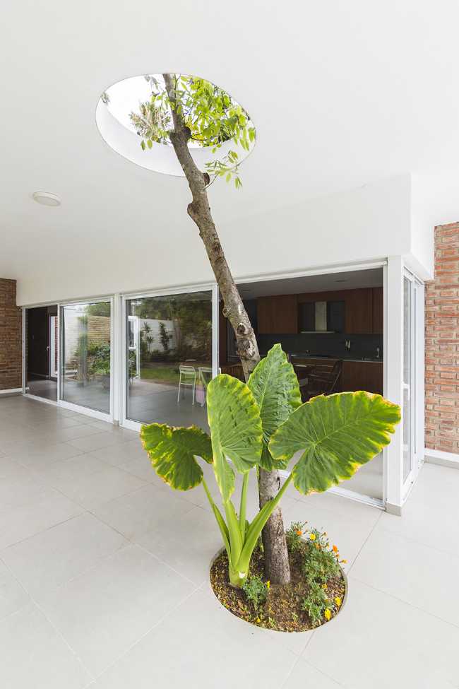 Goodbye to the boundaries between indoor and outdoor in El Quincho's project.