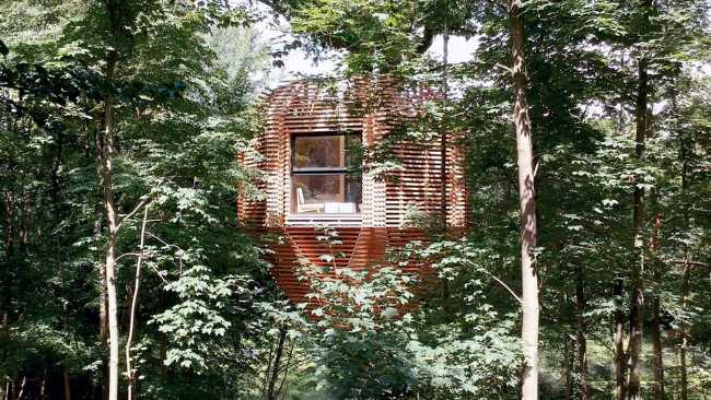 ¿Darle valor a un roble centenario? Origin, el trajesartorial de madera cosido alrededor del árbol