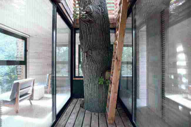 ¿Darle valor a un roble centenario? Origin, el trajesartorial de madera cosido alrededor del árbol