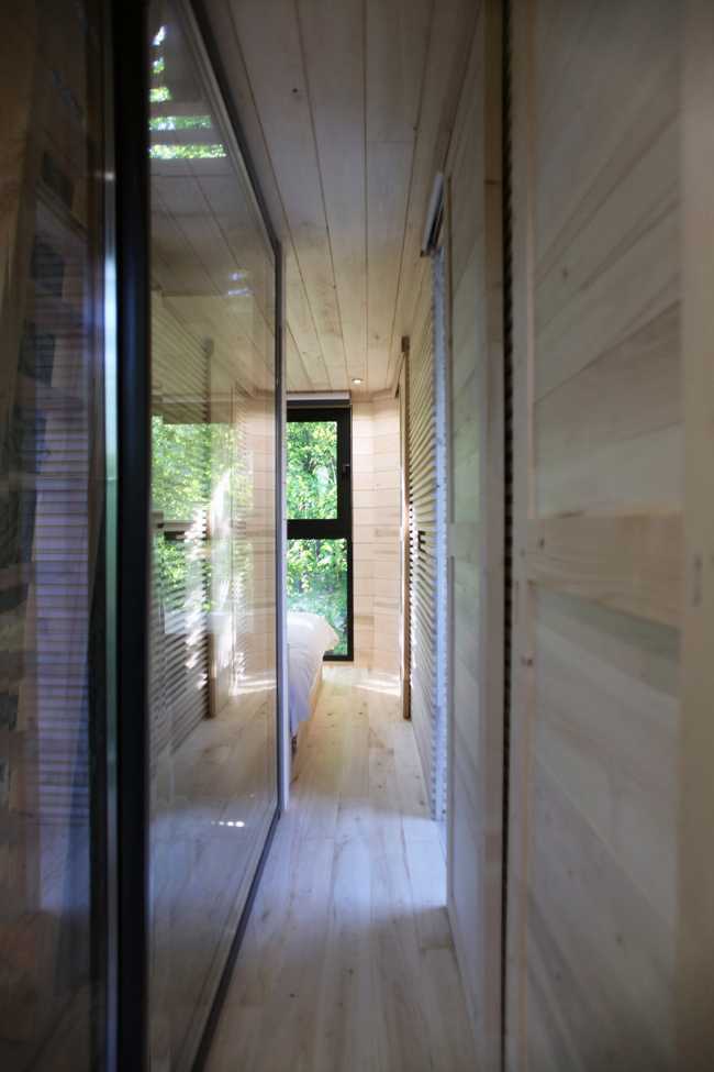 ¿Darle valor a un roble centenario? Origin, el trajesartorial de madera cosido alrededor del árbol