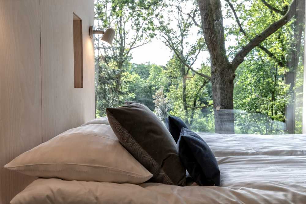 Treetop Hotel Lovtag: dormir entre los árboles de un pequeño y pintoresco bosque danés