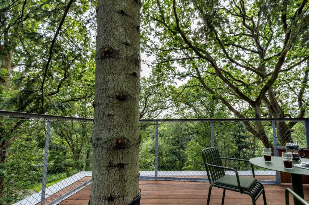 Treetop Hotel Lovtag: sleeping in the trees of a small, picturesque Danish forest