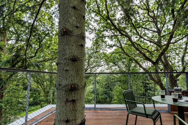 Treetop Hotel Lovtag: sleeping in the trees of a small, picturesque Danish forest