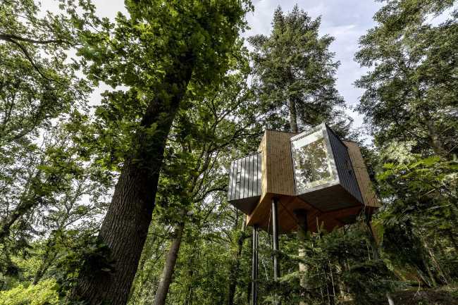 Treetop Hotel Lovtag: sleeping in the trees of a small, picturesque Danish forest