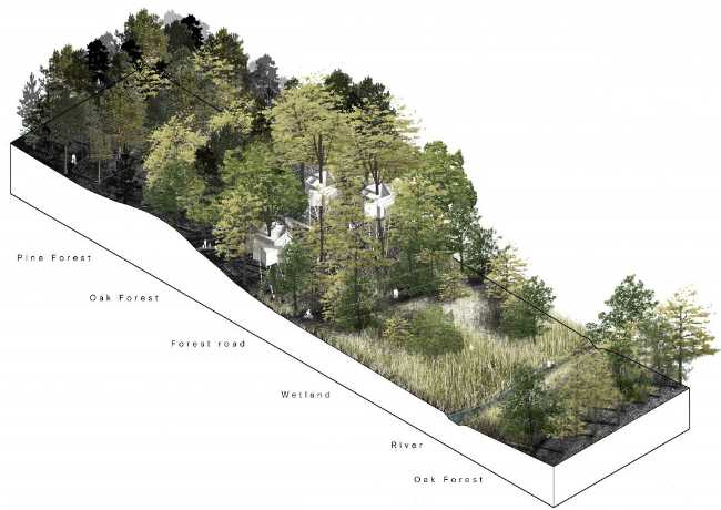 Treetop Hotel Lovtag: sleeping in the trees of a small, picturesque Danish forest