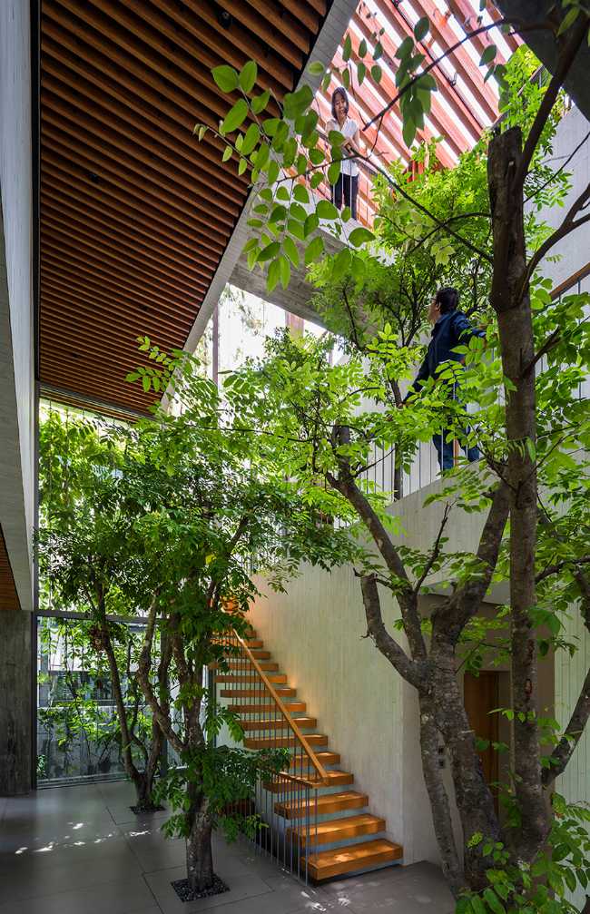 Stepping Park House: the Vietnamese challenge of integrating greenery into architecture