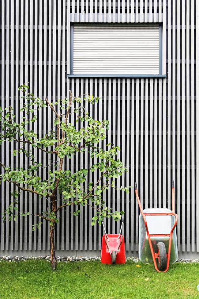 Casa 1+1+1=1. Giochi di altezze, luce e legno disegnano lo spazio