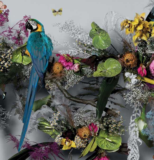 Wonderlust. An artist's love letter to nature