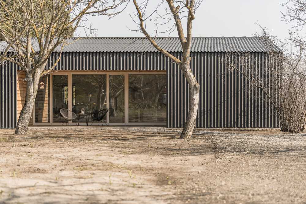 House in a Walnut Grove- minimalist living amidst nature